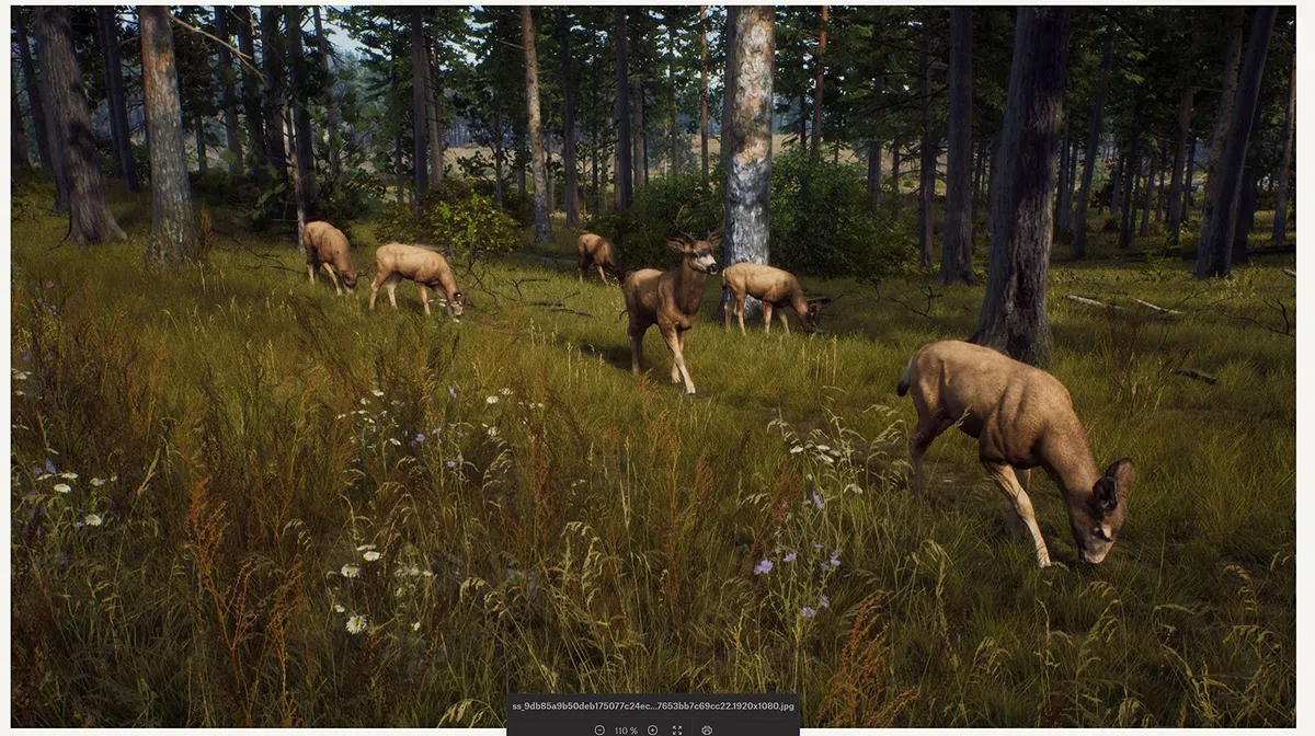 Way of the Hunter - Xbox Series X
