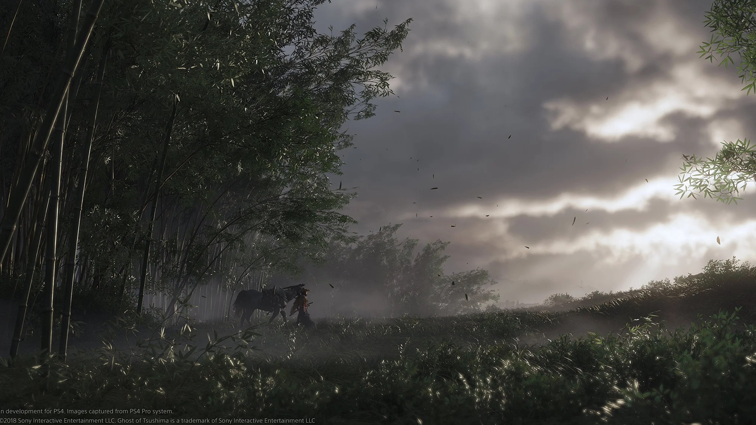 Ghost of Tsushima [PlayStation 4]