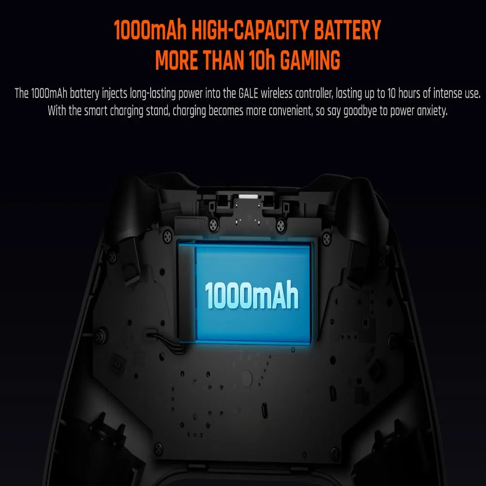 BIGBIG WON Gale PC wireless Controllers Motion Aiming, Hall Trigger, 4 pulsanti personalizzati, App Control Game Controller per PC/Switch/iOS/Android Con dock di ricarica (Nero)