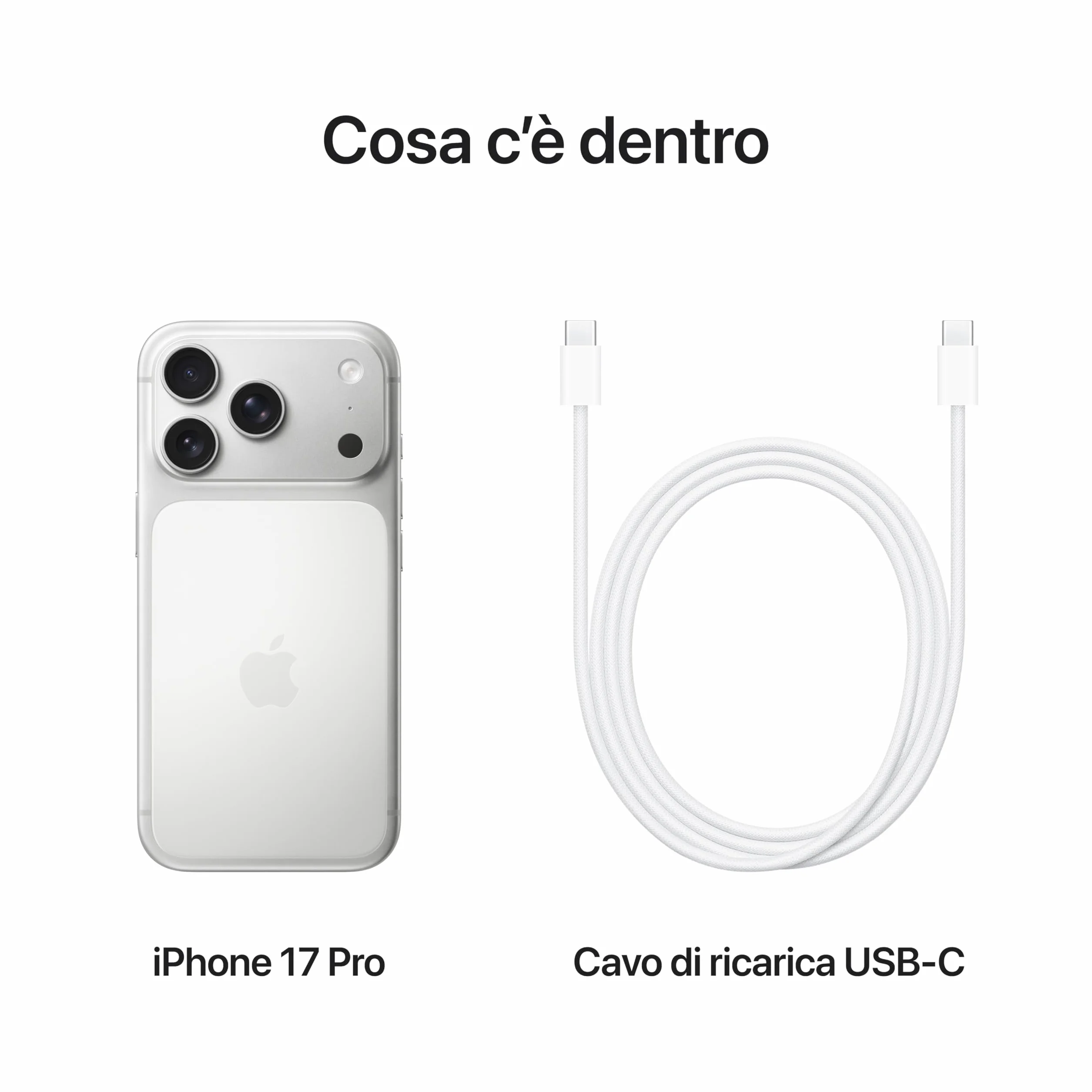 Apple iPhone 17 Pro 256 GB: display 6,3", ProMotion fino a 120Hz, chip A19 Pro, autonomia senza precedenti, sistema di fotocamere Pro Fusion con fotocamera frontale Center Stage; Argento