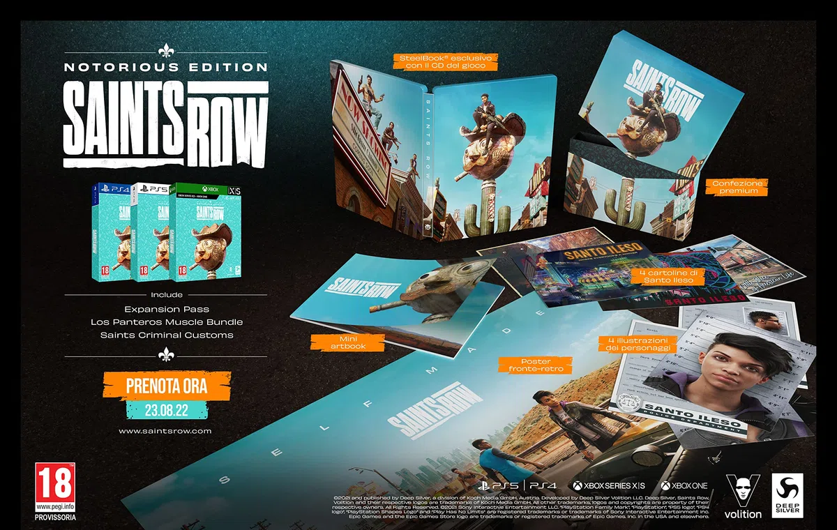 Saints Row Notorious Edition - Other - Playstation 4