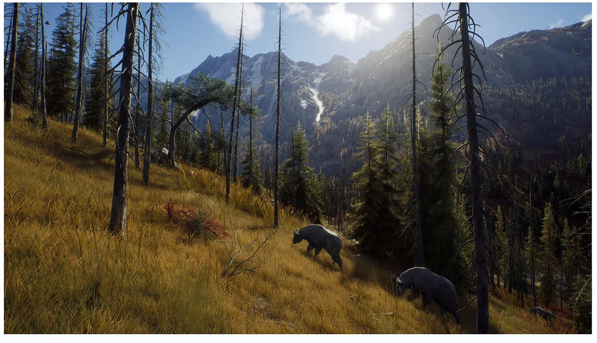 Way of the Hunter - Xbox Series X