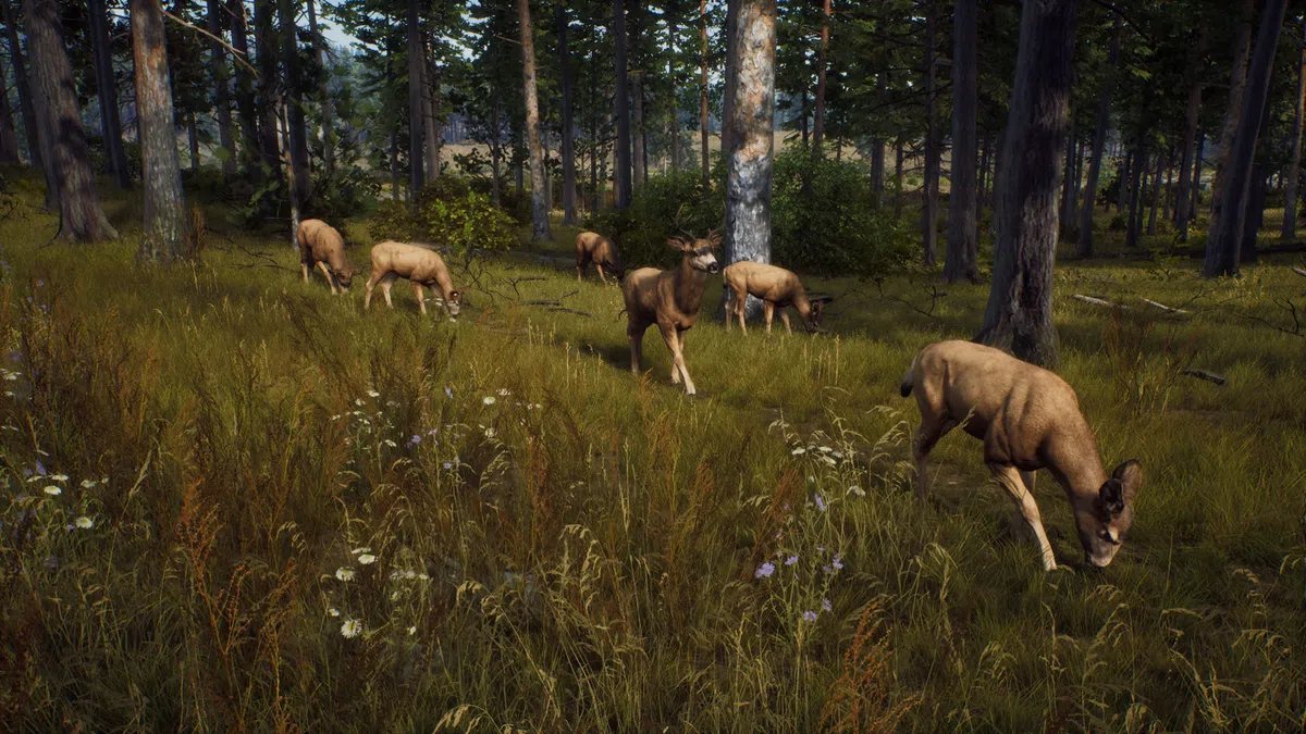 Way of the Hunter - Xbox Series X