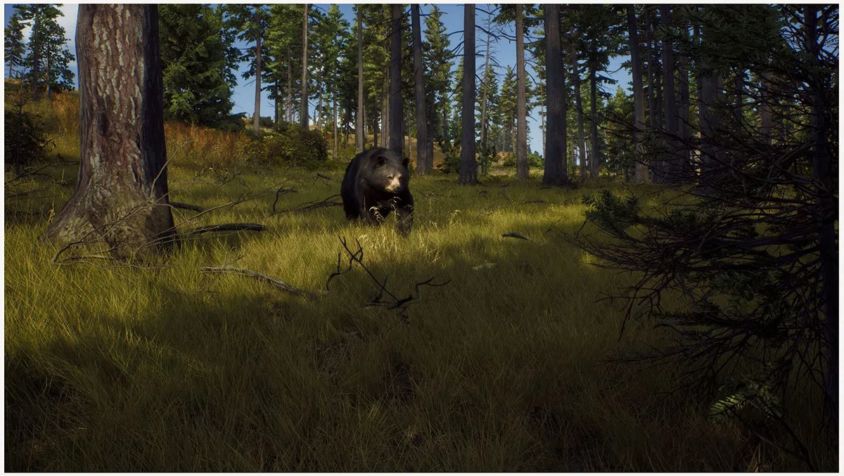 Way of the Hunter - Xbox Series X